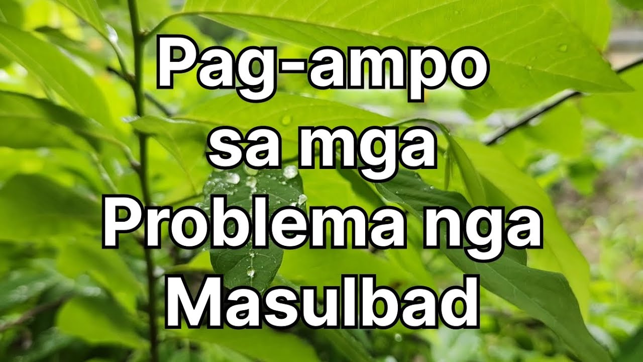 Pag-ampo sa mga Problema nga masulbad
