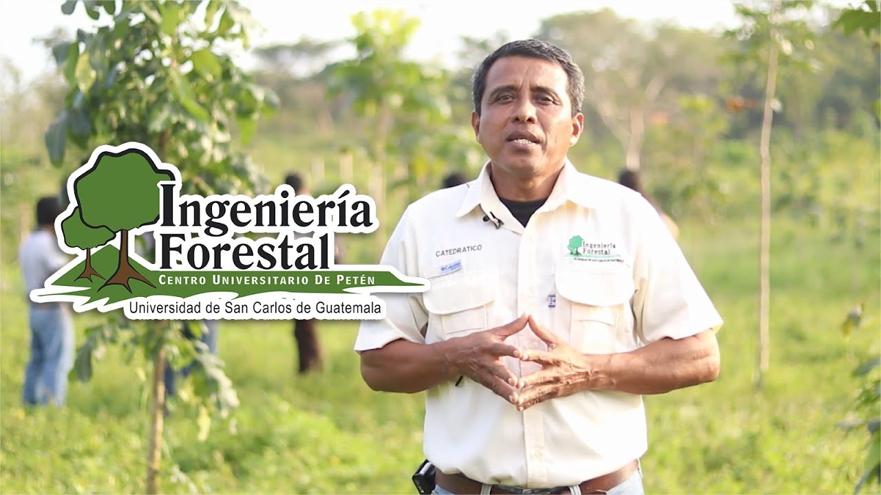 ¿De qué puedo trabajar como Ingeniero(a) Forestal? - PENSUM ADJUNTO