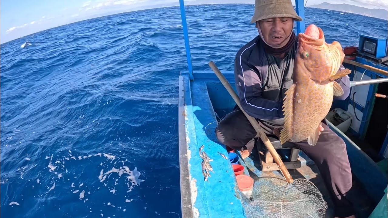 879 ) MỘT CÒN MỘT MẤT VỚI LOÀI CÁ KHỦNG.