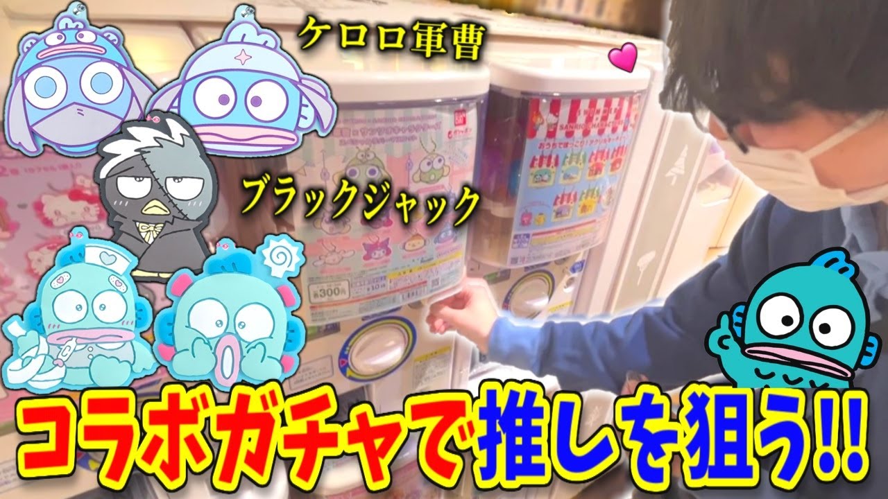 【サンリオ】お金いくらあっても足りないや…何回で推しハンギョドンを救出できる？？【ガチャガチャ、ハンギョドン推し】