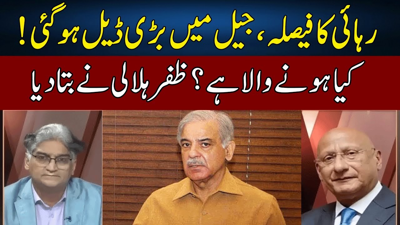 Zafar Hilaly Gives Big Good News | PML-N Family Finished | Sahafi With Matiullah Jan | Neo | JF2P