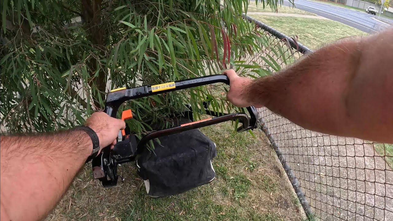 Overgrown Lawn #19 - A Pokey Backyard 