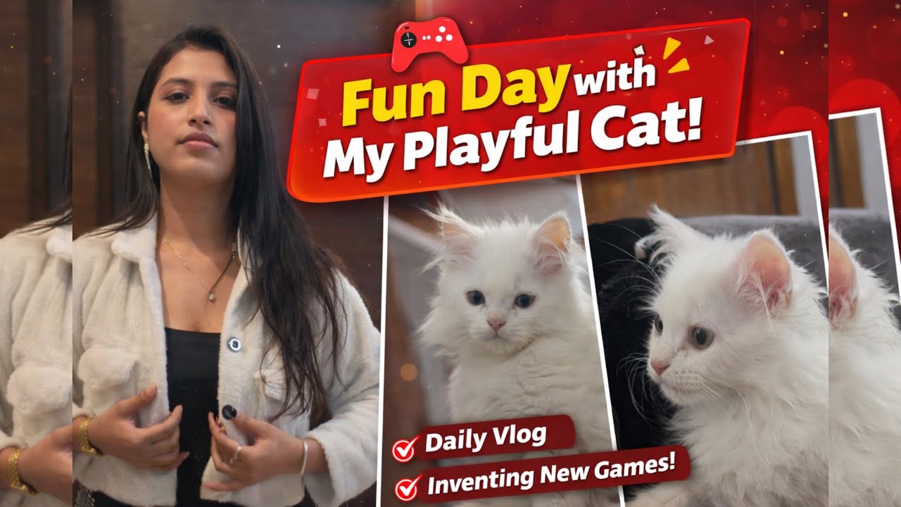 Fun Day with My PLAYFUL Cat 🐱 | He Invented New Games 🎮