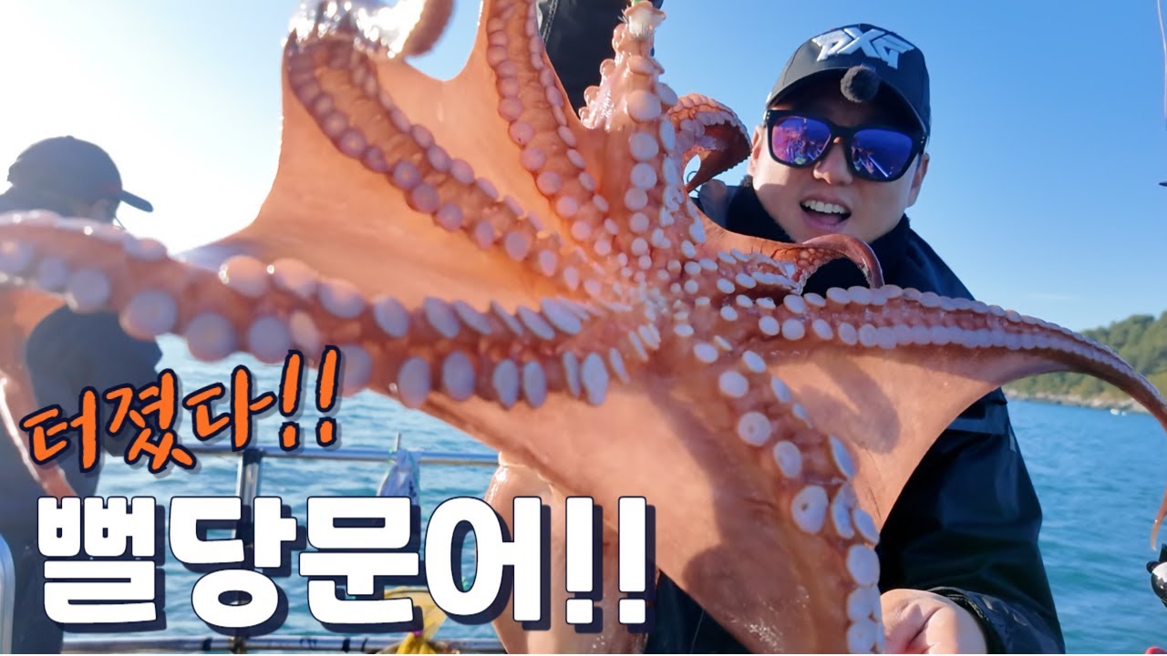 깊은수심 뻘당 문어가 터졌다!! 덩치급 문어밭으로 지금 달리세요! 망설이면 끝납니다.