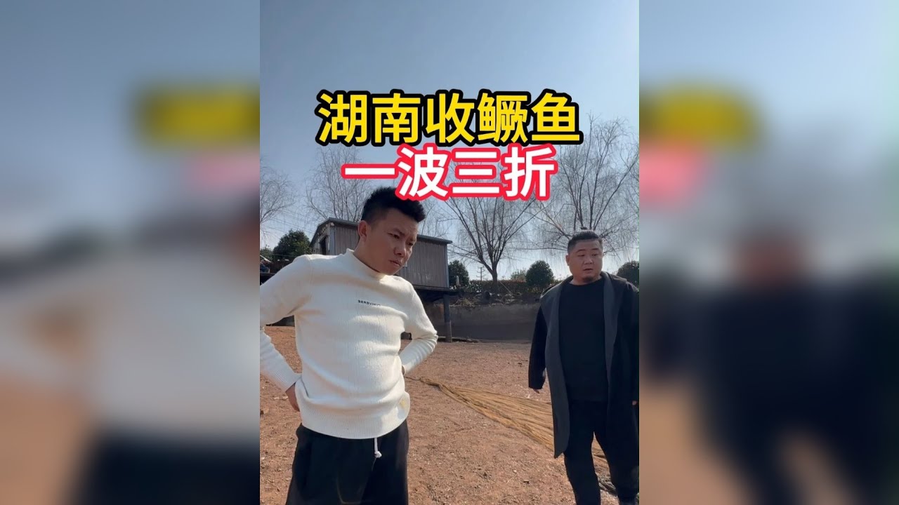 湖南收鳜鱼，一波三折！ 渔兄渔弟强子老表0