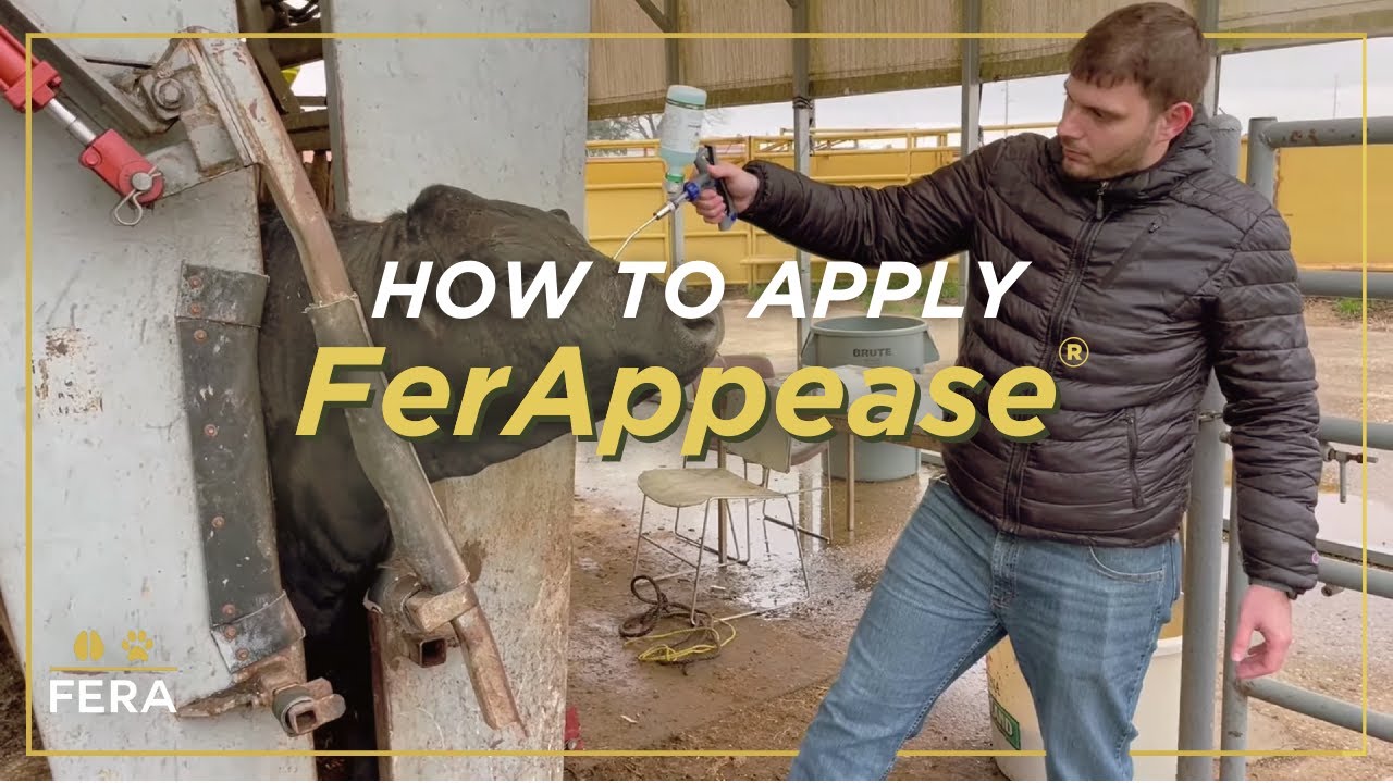 FerAppease Application