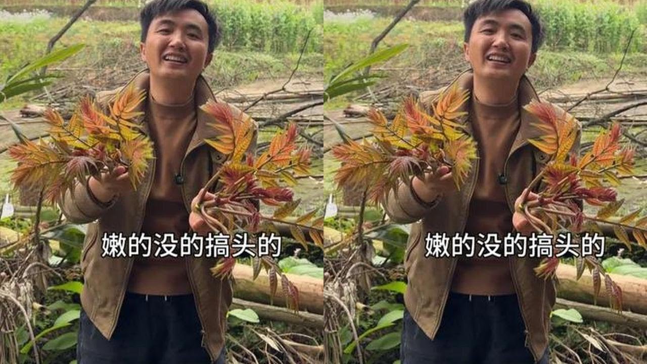 市场上几十一斤的香椿芽，徐三娃摘点搭配鹅蛋摆摊，看看生意咋样#我的乡村生活 #香椿 #摆摊 #瓜子二手车