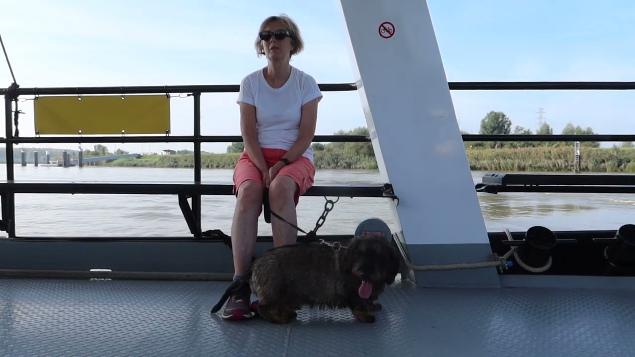 Drie veren wandeling met Lowieke de teckel