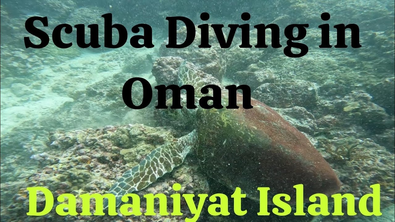 Scuba Diving in Oman (Damaniyat Island) 20th January 2024