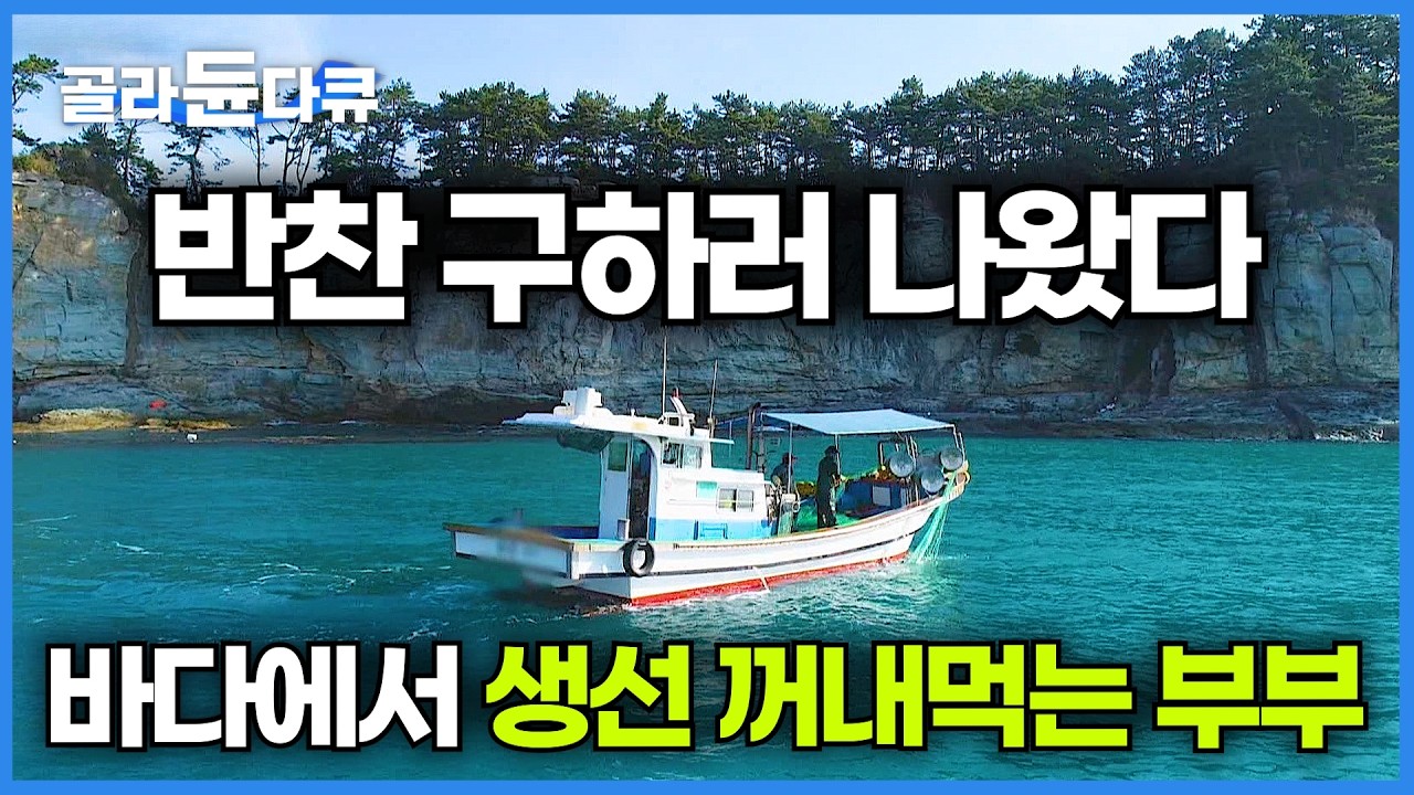 밥반찬 구하러 자가용 배타고 바다 나가는 부부│산 좋아하는 아내와 바다 좋아하는 남편의 추도 섬살이│추도의 소문난 귀촌 20년차 닭살 부부│한국기행│#골라듄다큐