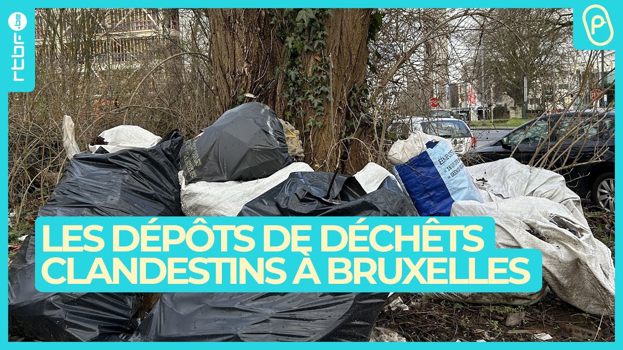 Dépôts de déchets clandestins à Bruxelles : le fléau de la propreté - On n'est pas des Pigeons