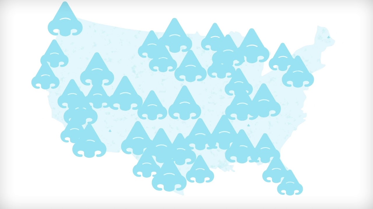 ENT Institute - What is Sinusitis?