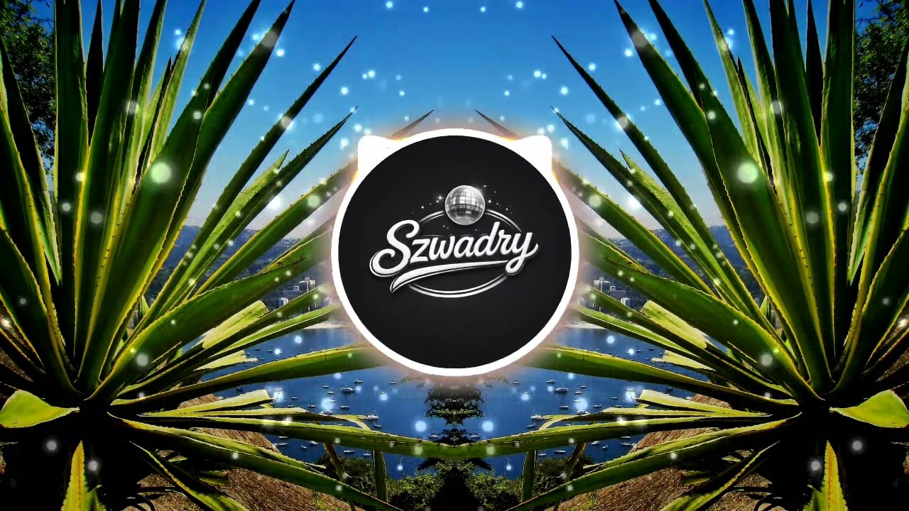 Szwadry - Fica amor | NOWOŚĆ 2026
