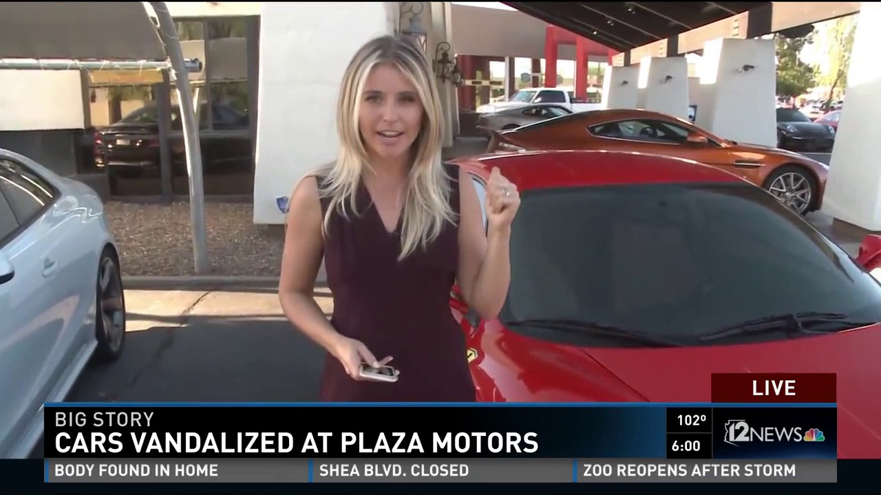 Cars vandalized at Plaza Motors