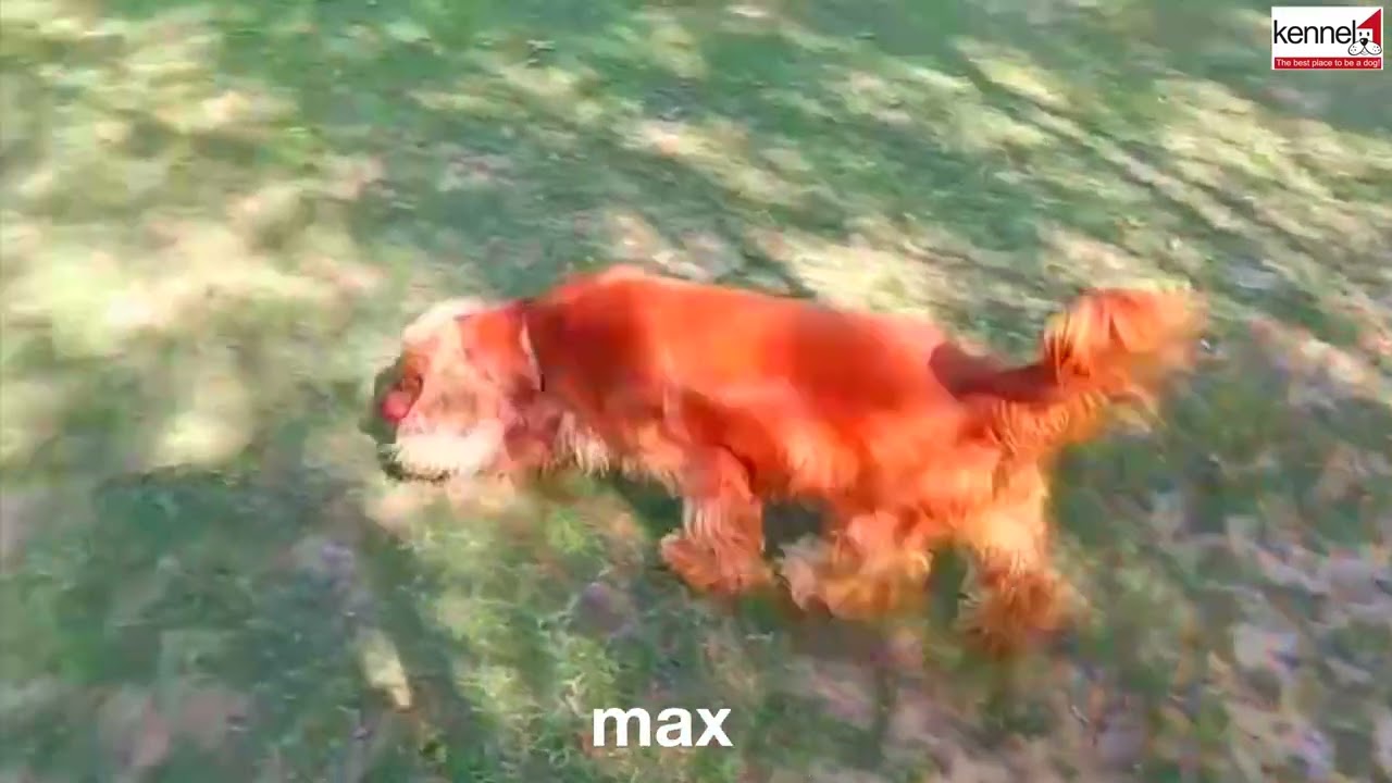 max