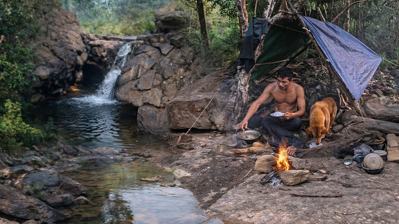 SOLO SURVIVAL CAMP IN DEEP FOREST | CATCH & COOK FRESH FOOD & LISTEN WATERFALL WITH MY DOG!