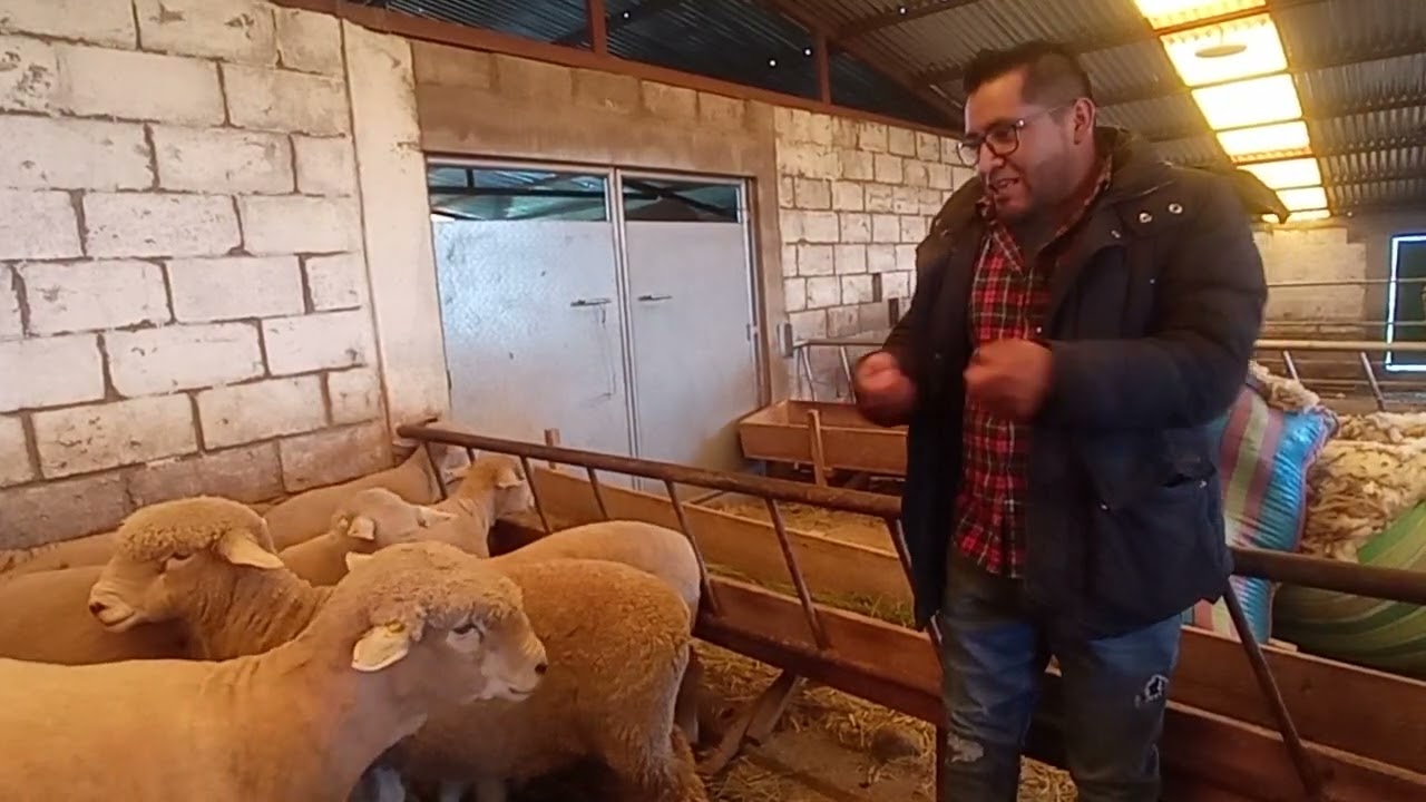 Pasantía 