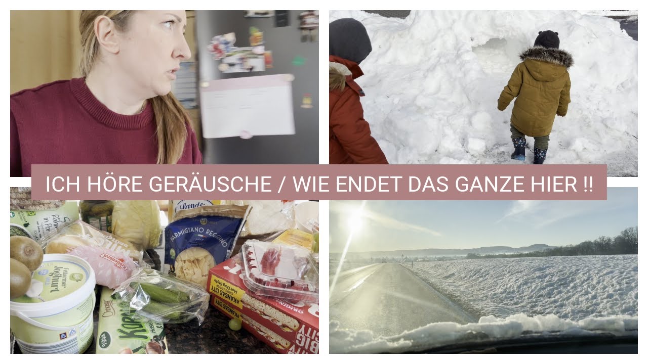 WIR SIND FIX UND FERTIG / NEUES ZUHAUSE SUCHEN / VLOG