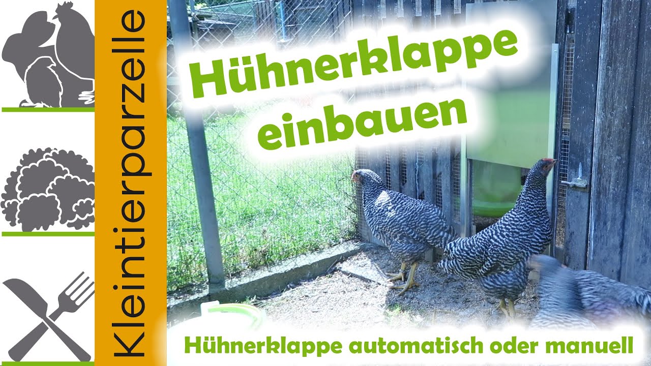 Elektrische H&uuml;hnerklappe einbauen | H&uuml;hnerklappe automatisch oder manuell bedienen
