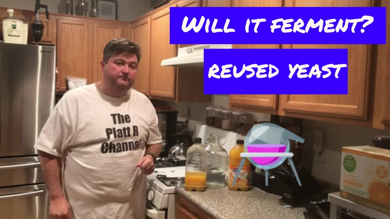 Will it ferment? Reused Yeast