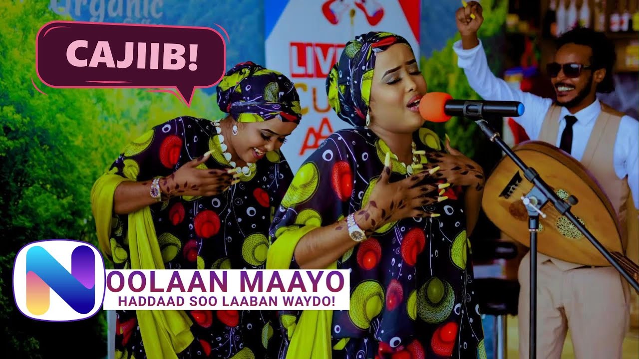 NADIIRA NAYRUUS | LAHASHADA KALGACAL | LIVE MUSIC | CUUDKA ABDIASKARITUBE