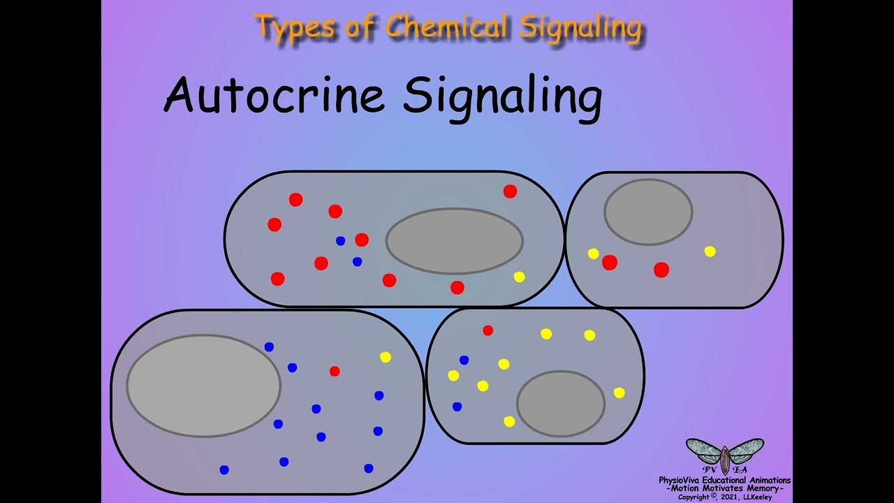 01-Introduction-Endocrinology