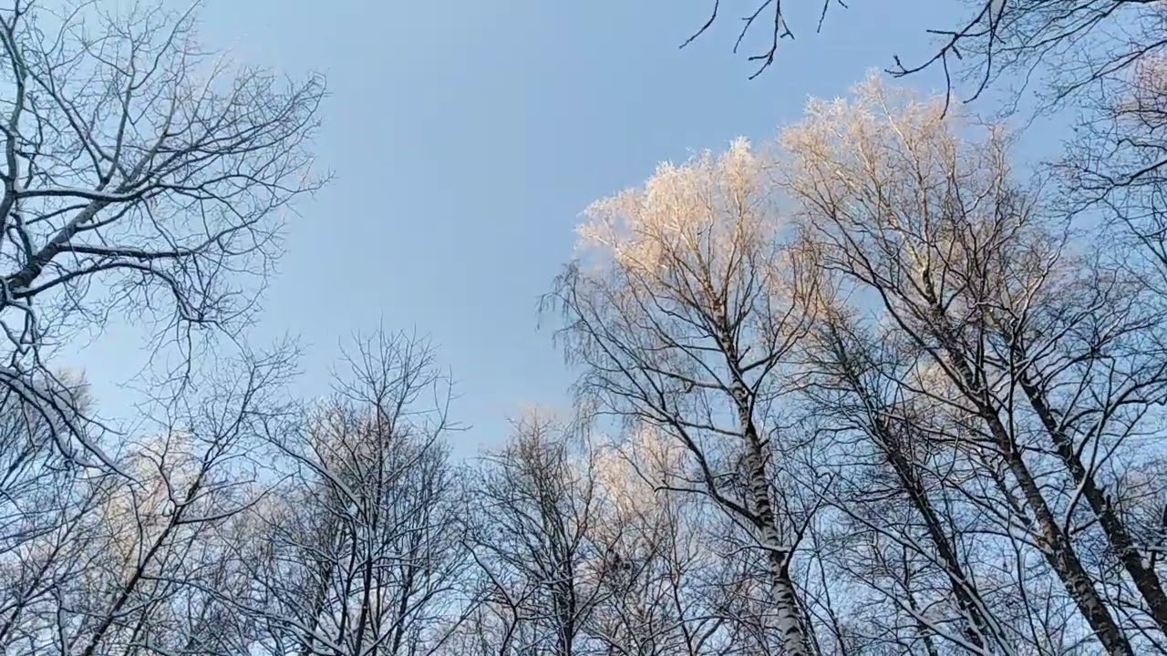 Сегодня включили солнышко!🌞 2026.01.08