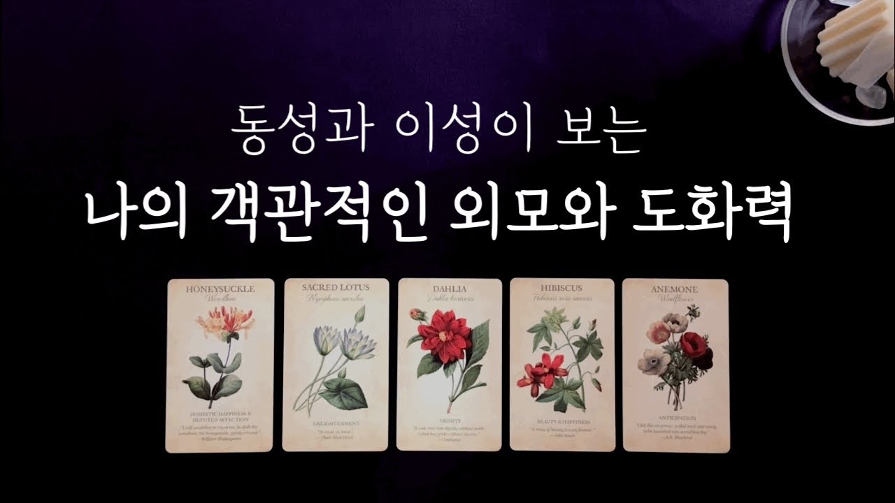 [타로] 동성과 이성이 보는 나👀 나의 외모, 분위기, 성격, 도화력을 확인해보세요🔮
