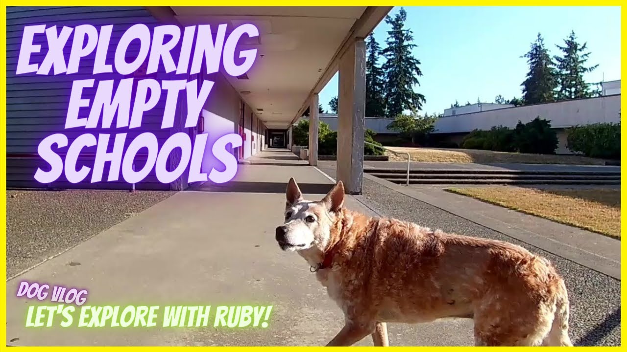 Exploring Kilo Middle School & Lake Dolloff Elementary During Summer Break ~ Federal Way Washington