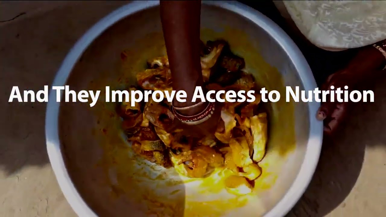 Aquatic food systems are a climate change solution. Here&rsquo;s how in 60 seconds.