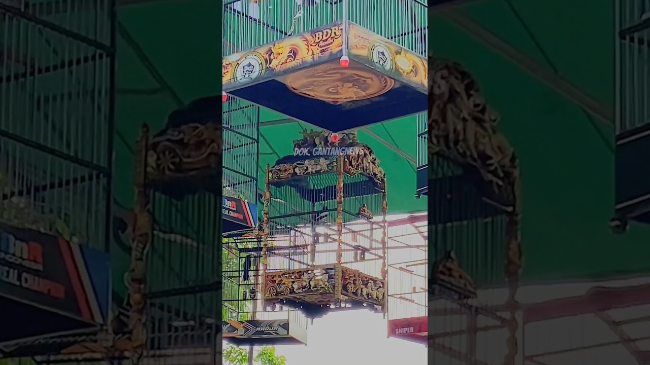 Joki burung