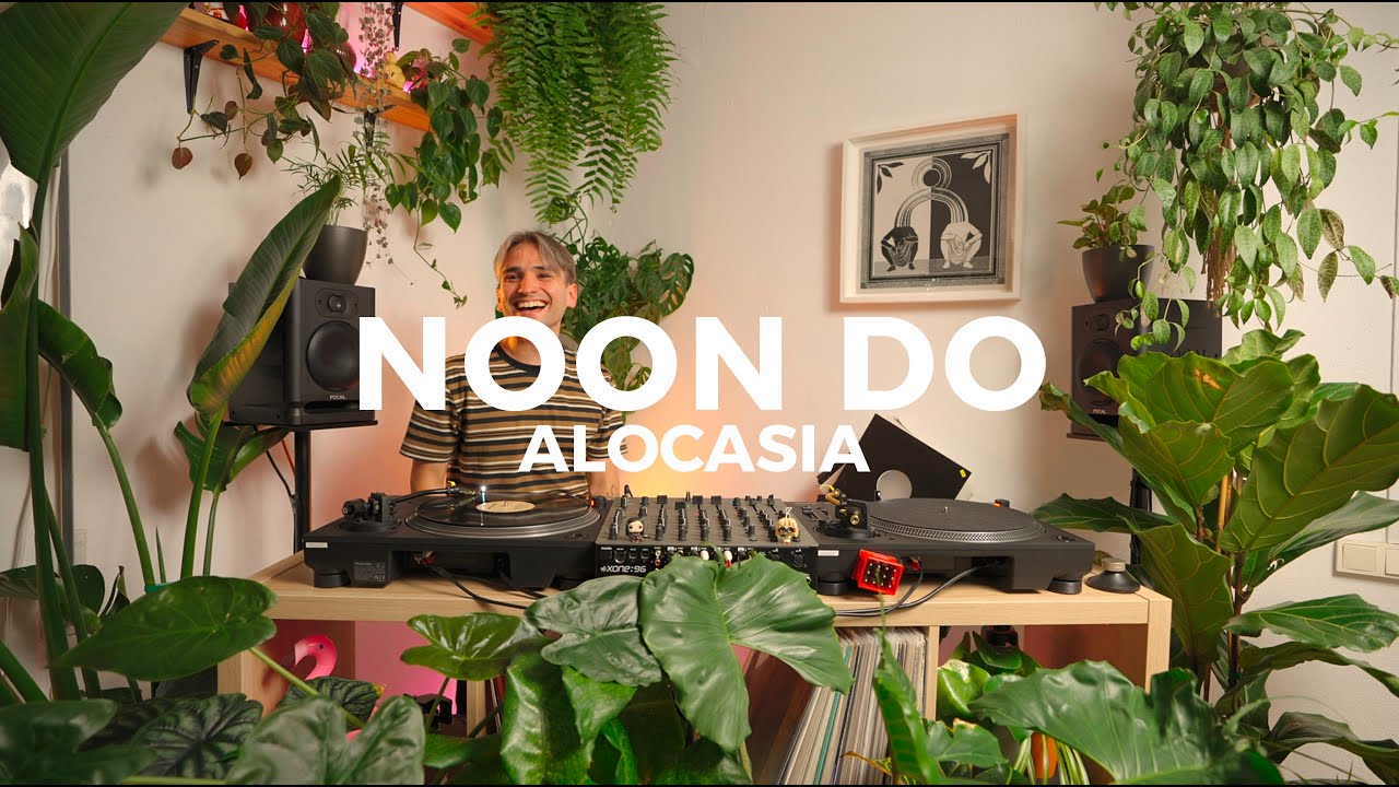 Alocasia TV Barcelona - Noon Do [Vinyl Set] #house