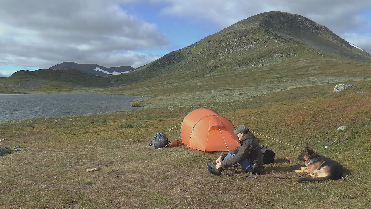 En Man Och Hans Hund med Fjällvandring Ammarnäs 2020