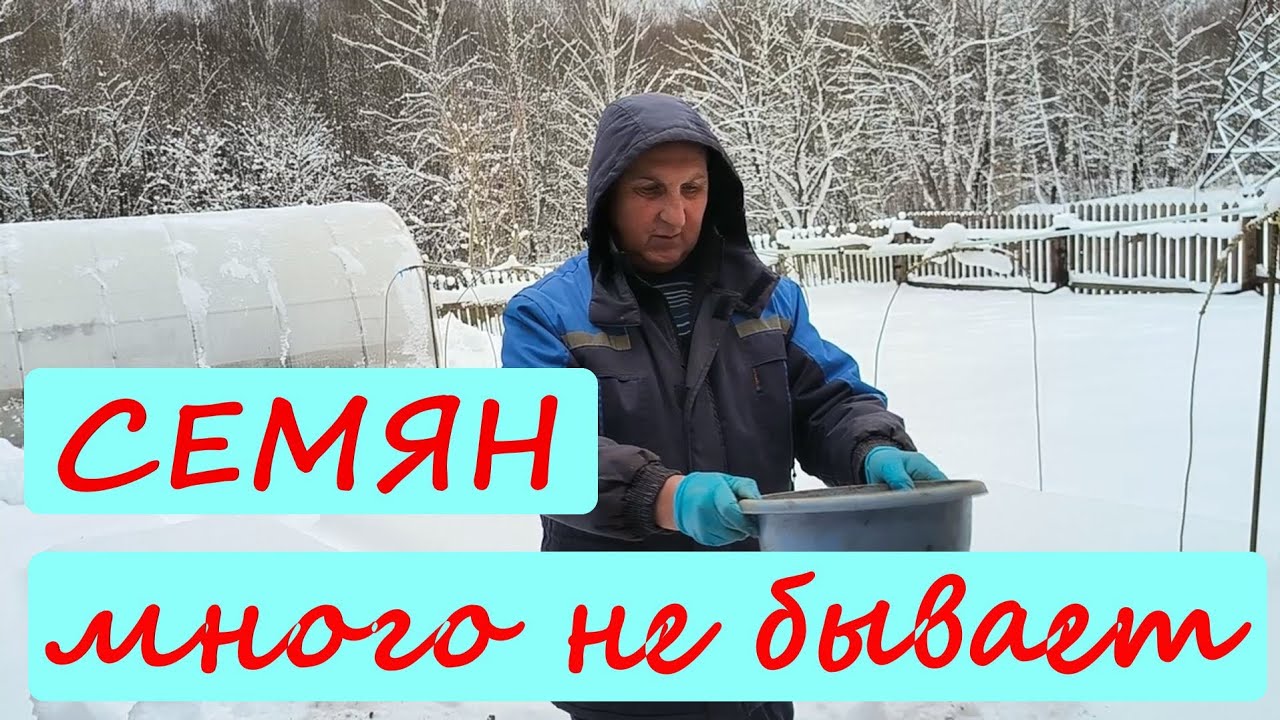Занимаемся СЕМЕНАМИ ТАБАКА. Получили новые КОНТЕЙНЕРЫ ДЛЯ РАССАДЫ.Готовимся к ПОСЕВУ.ЖИЗНЬ В ДЕРЕВНЕ