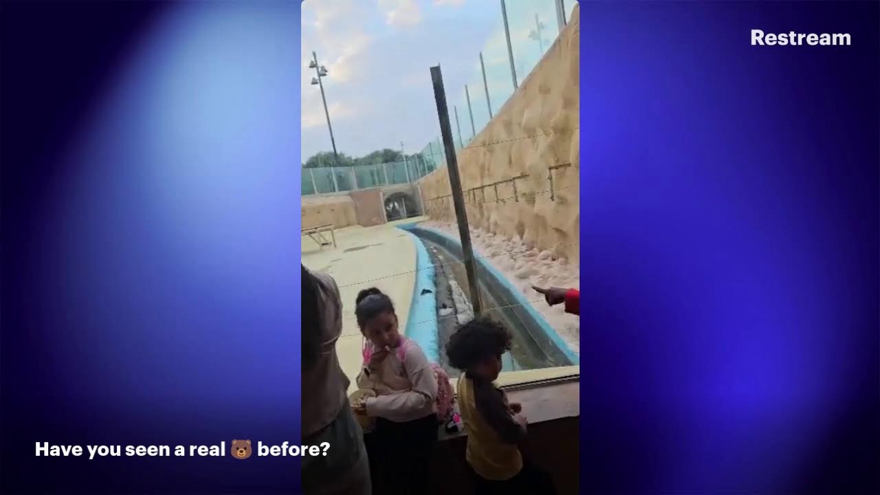 🧸EEK!A real bear at Al Khor Family park and Zoo