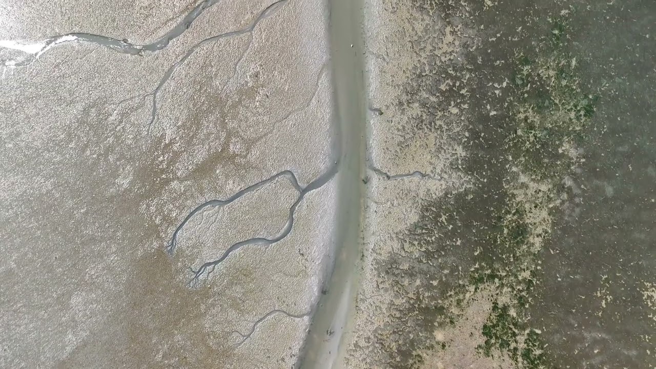 Wadden Sea (Unesco) at Peasens Moddergat (Friesland, the Netherlands)