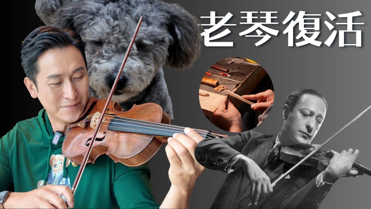 老小提琴的新生命