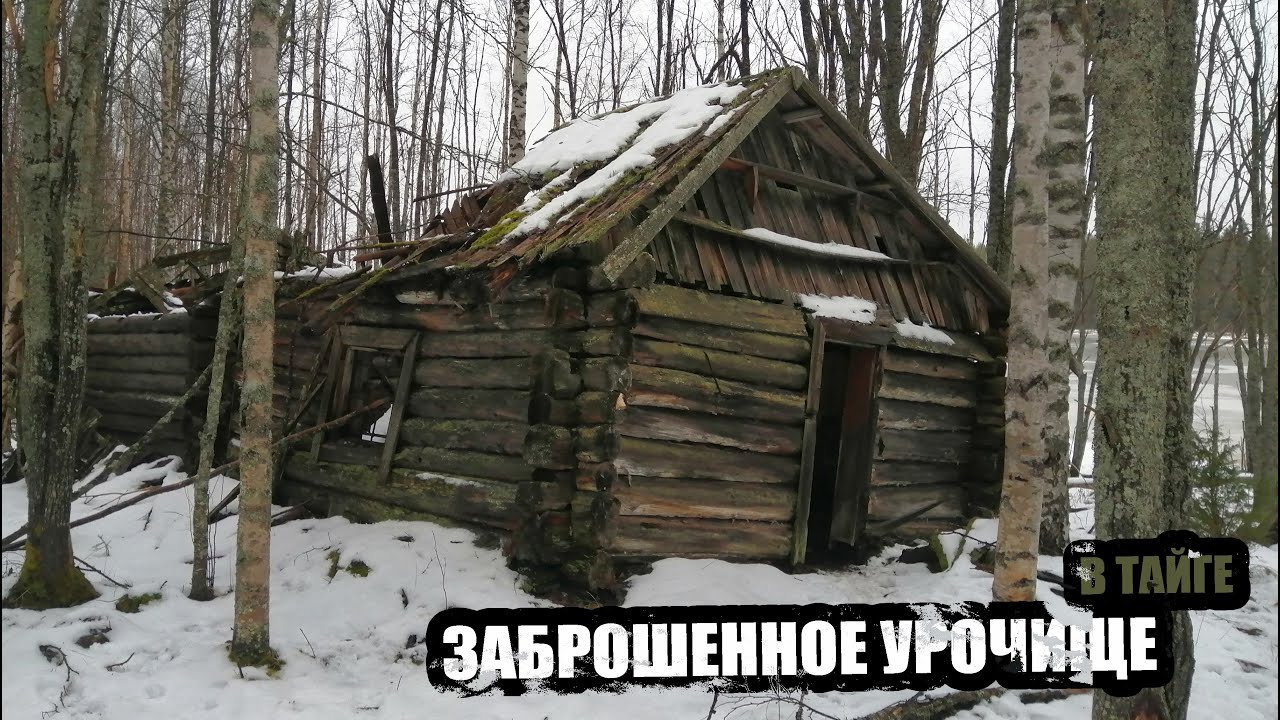 Заброшенное урочище в тайге