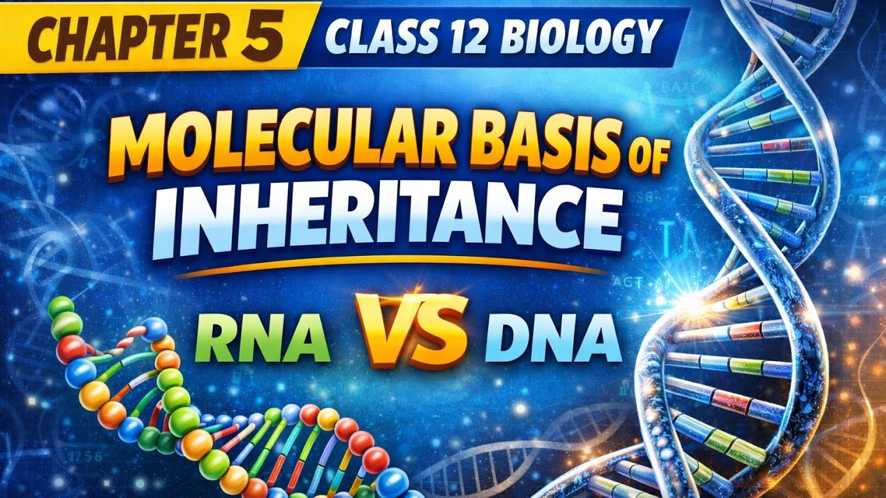 DNA vs RNA | Similarities & Differences Made Easy