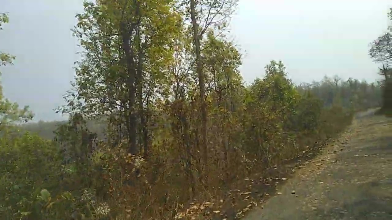 Ghatshila Phuldungri Hills