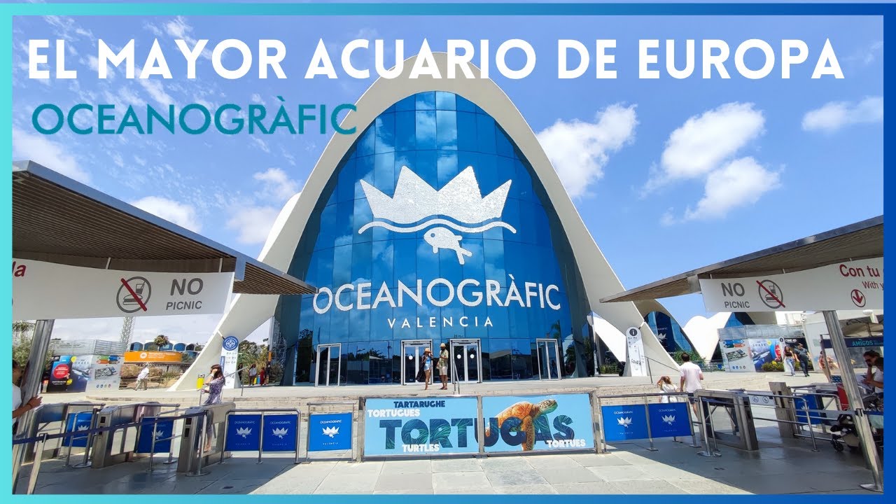 🐬OCEANOGRAFIC VALENCIA 🐬 | El MAYOR acuario de EUROPA | Zoo Tour 2023