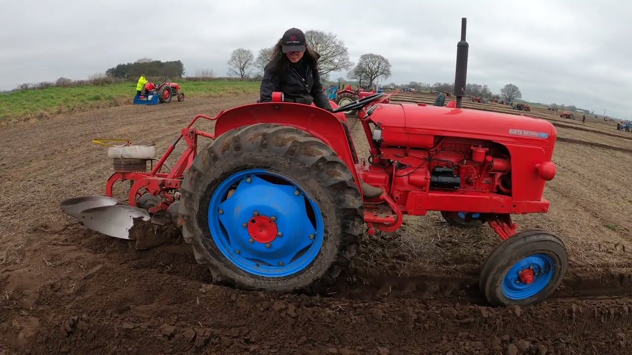 1957 David Brown 900 2.7 Litre 4-Cyl Diesel Tractor (40 HP) North Notts Ploughing Match 2026
