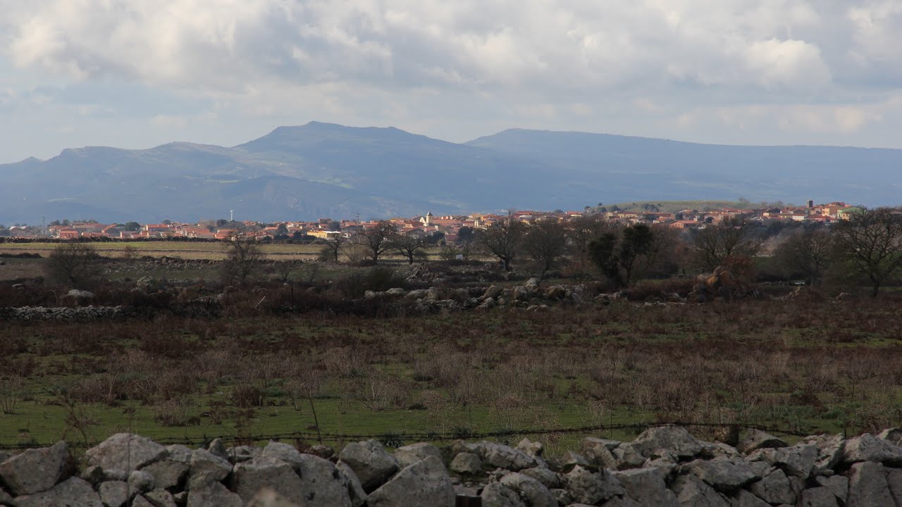 Sardegna Verde 2019 - Sindia (NU)