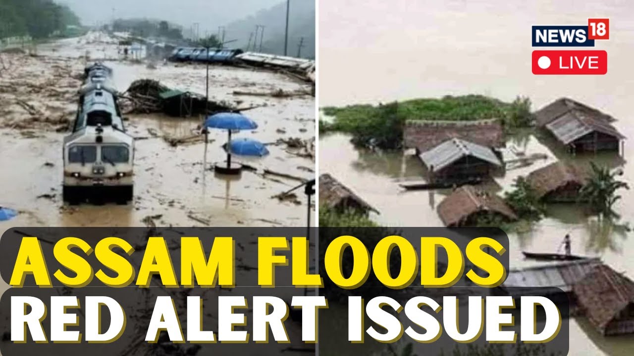 Assam Floods Live |  Assam Flood Latest Update | Floods In Assam | Assam Flood News | N18L