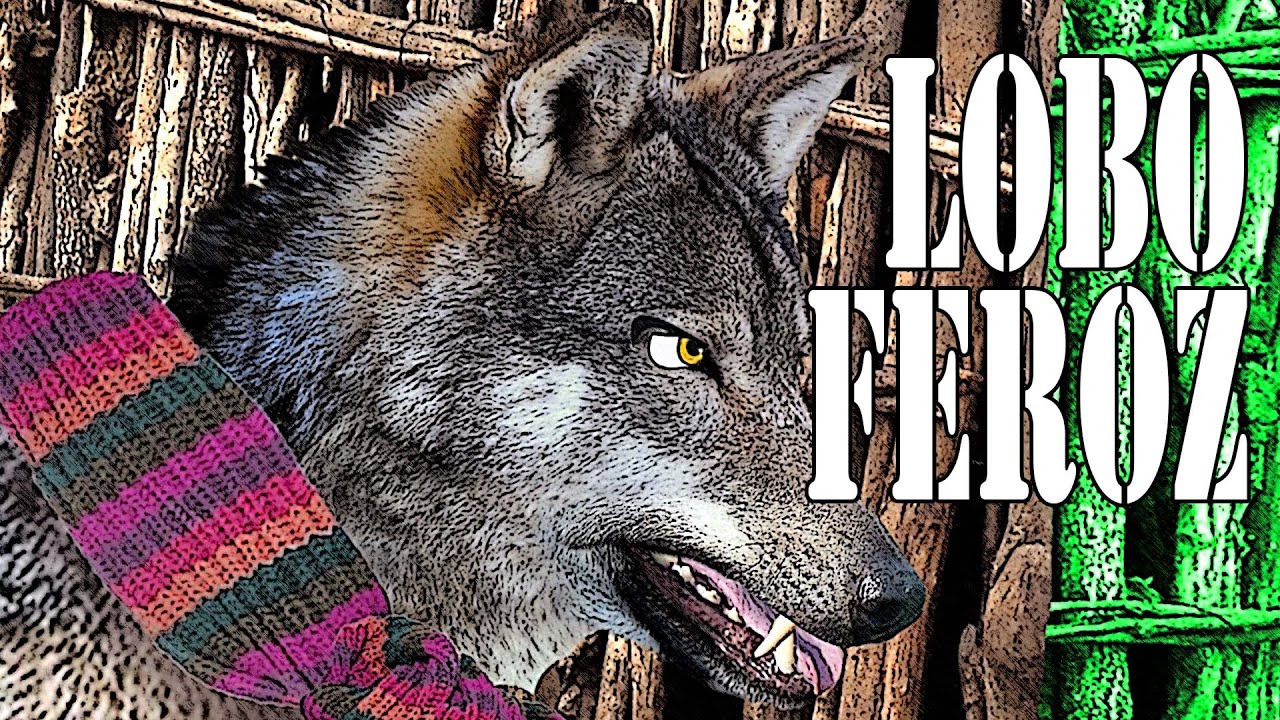 3 CUENTOS INFANTILES DEL LOBO FEROZ: Los tres cerditos, Caperucita Roja y Los Siete Cabritill