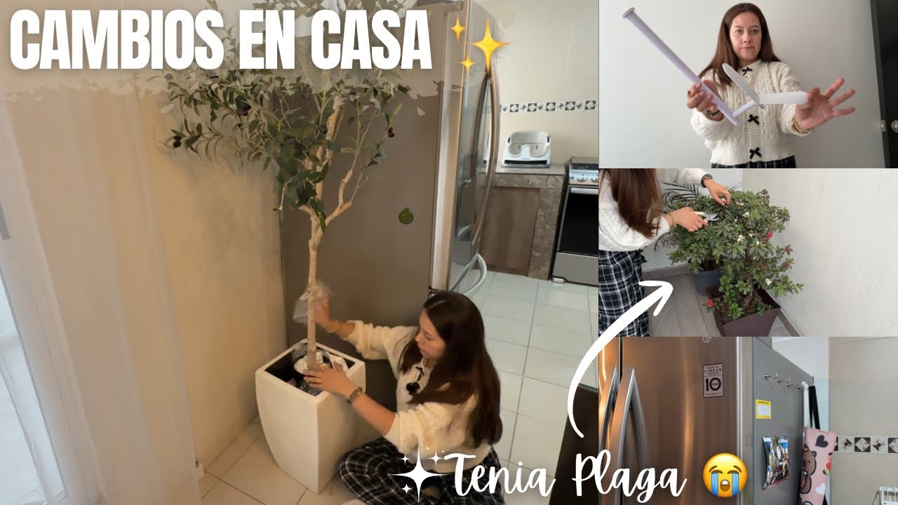 HAUL SHEIN HOGAR ✨ ELEVANDO LA CASA CON COSAS NUEVAS ✅ ESTO ESTABA MATANDO A MI PLANTA 😭 