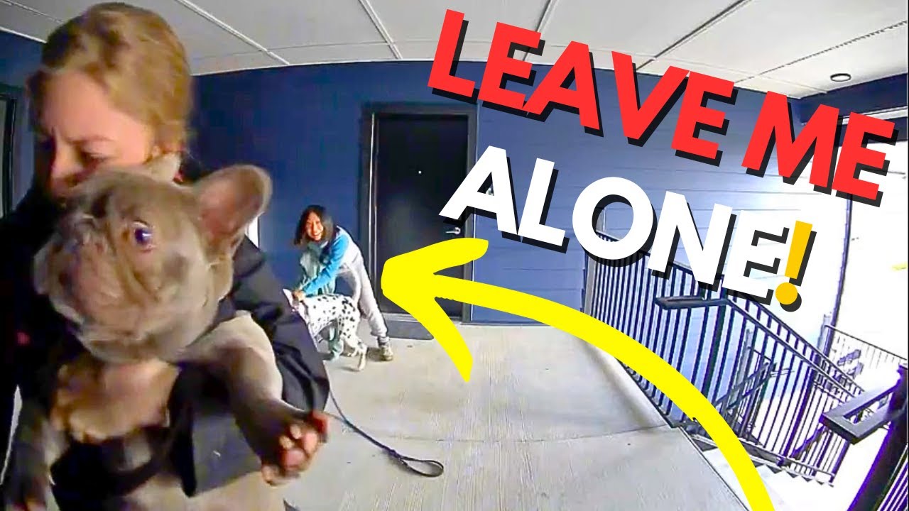 This Is Why Home Isn't SAFE! (Caught on Ring Doorbell)