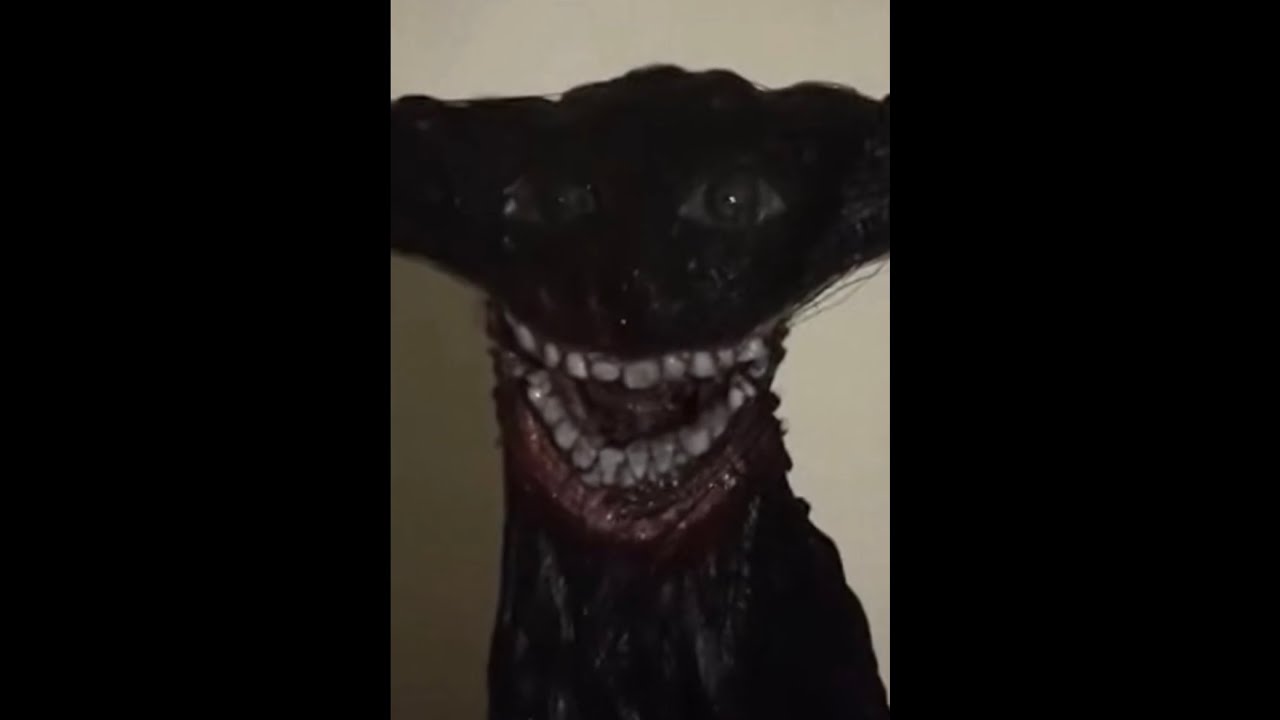 Found footage manikin testing 00.1
