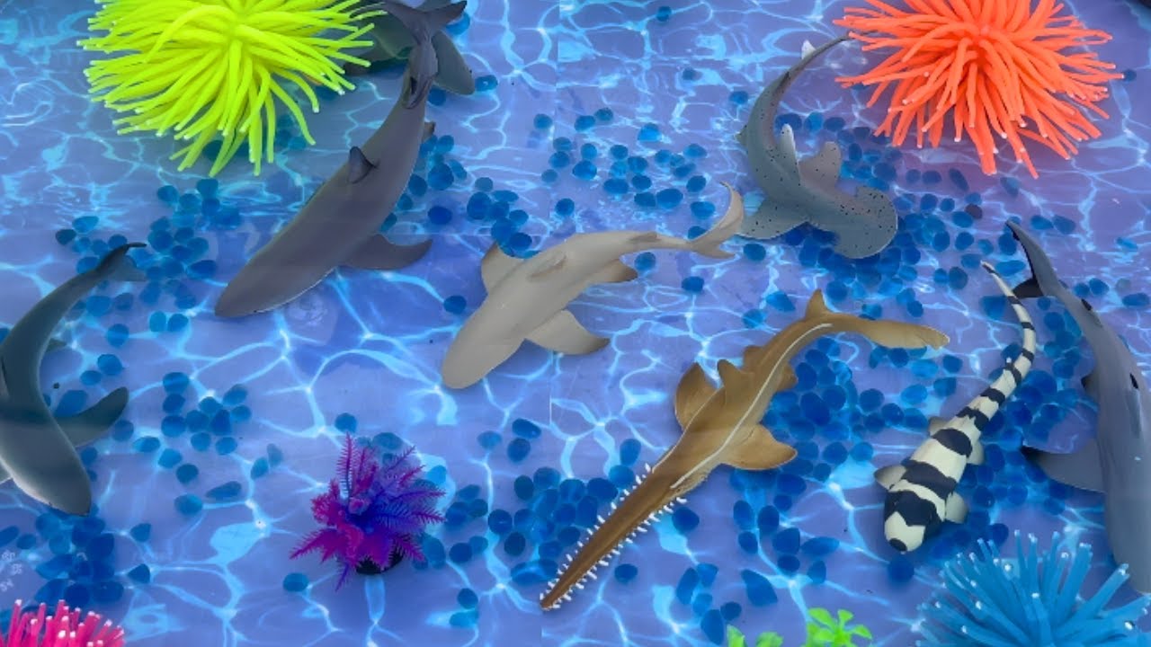 SHARKS Collection Ocean World  Playset 