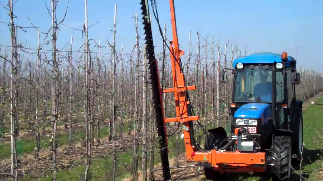 Mechanical Hedge Pruning at Carolus Trees, Belgium